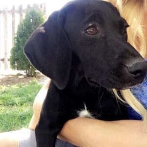 Meet your Posher, Natalie